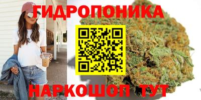гидра Кандалакша