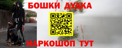 гидра Кандалакша