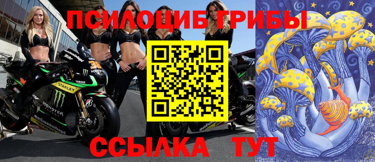 Галлюциногенные грибы ЛСД Моршанск