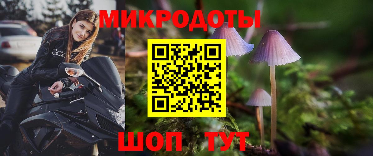 Псилоцибиновые грибы GOLDEN TEACHER  Вход с VPN  Моршанск  Галлюциногенные грибы мухоморы 