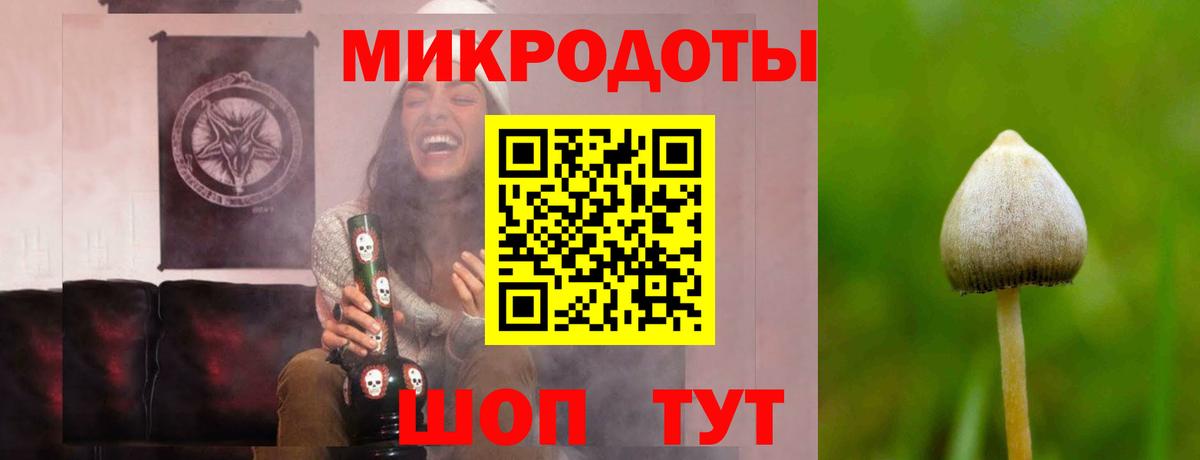 Галлюциногенные грибы мухоморы  Моршанск 