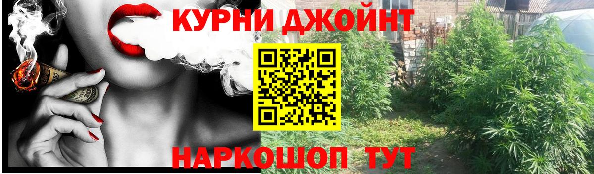 Бошки марихуана семена  Каннабис ГИДРОПОН  Моршанск  Каннабис MAZAR 